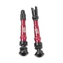 Load image into Gallery viewer, E13 TUBELESS VALVE SET
